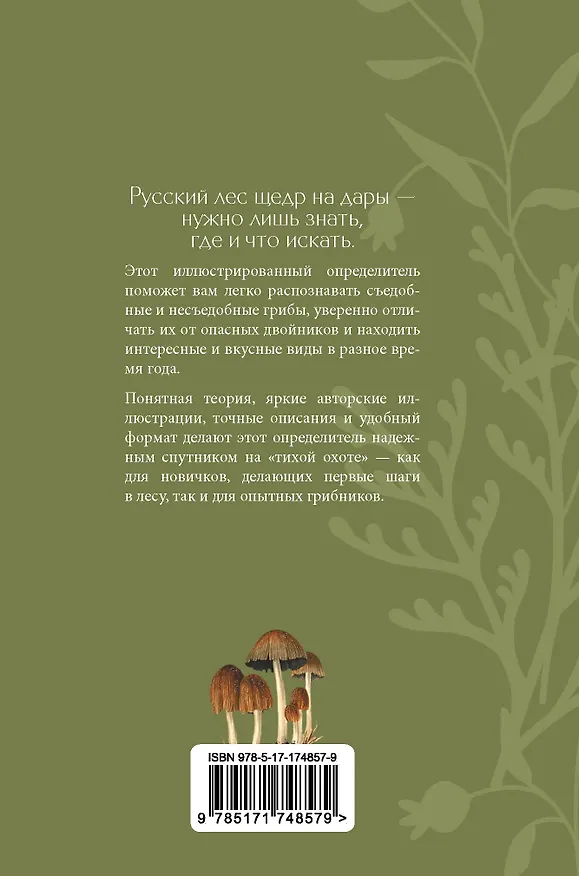 Книга Грибы русского леса. Иллюстрированный определитель (Мария Сергеева) — 2