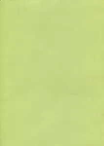 SADIPAL Картон А4 лайм 07920