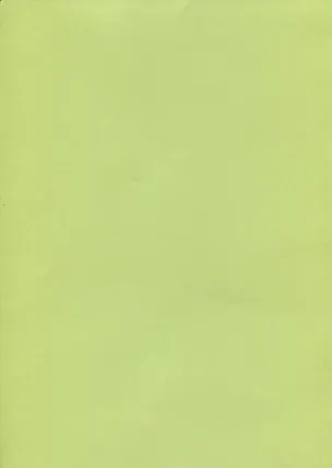 SADIPAL Картон А4 лайм 07920 316310