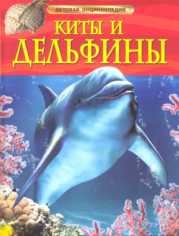 Книга Киты и дельфины (Сюзанна Дэвидсон) — 1