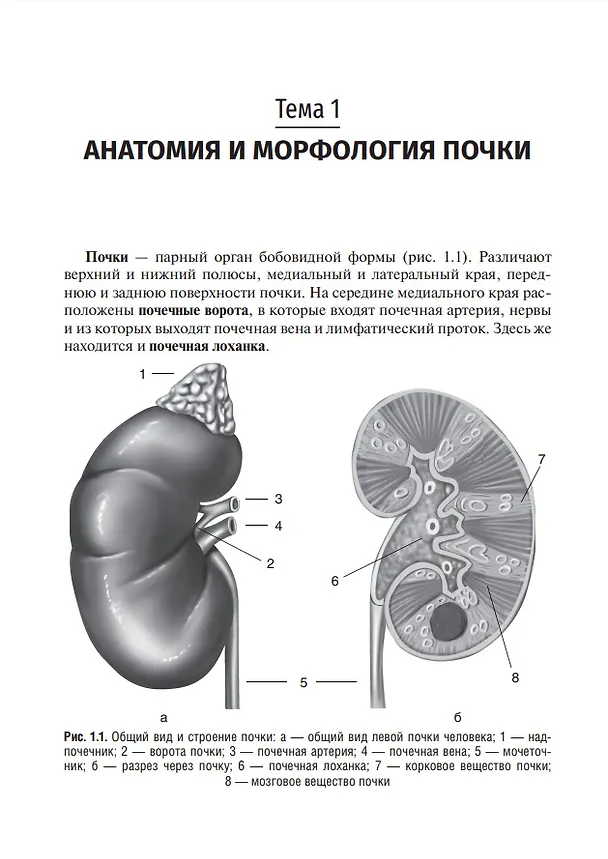 Книга Клиническая нефрология: учебное пособие (Анна Усанова, Наталья Гуранова) — 3
