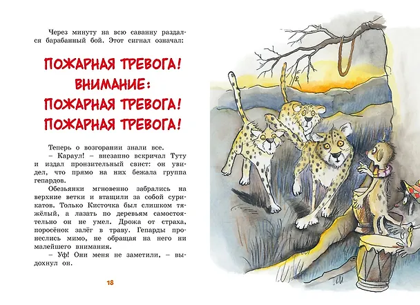 Книга Тафити и великий пожар (Юлия Бёме) — 17