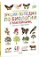 Интерактивная энциклопедия по биологии с наклейками, играми и поделками. Иллюстрации Дома "Дейроль" — 2449110 — 1