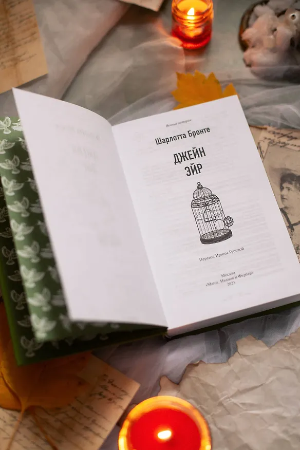 Книга Джейн Эйр. Вечные истории (Шарлотта Бронте) — 13