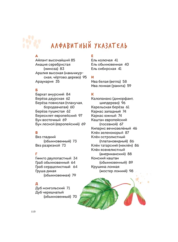 Книга Деревья. Атлас-определитель (Алексей Бондарев) — 9