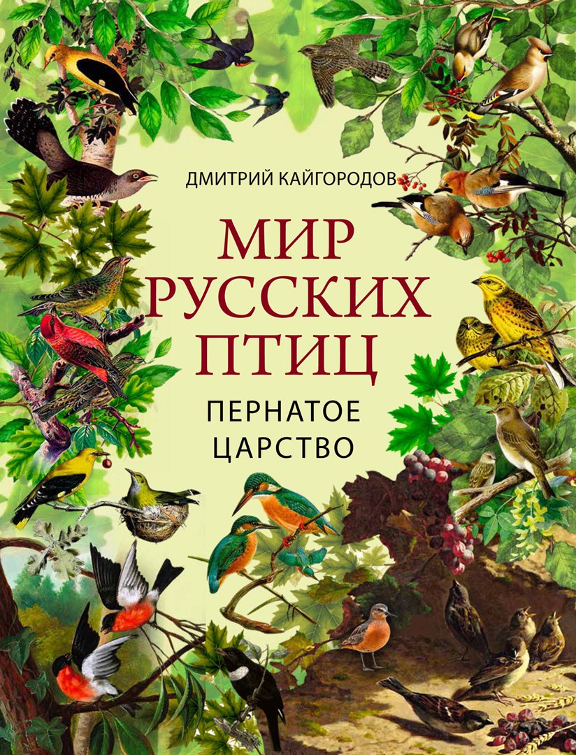Дмитрий Никифорович Кайгородов Мир русских птиц. Пернатое царство