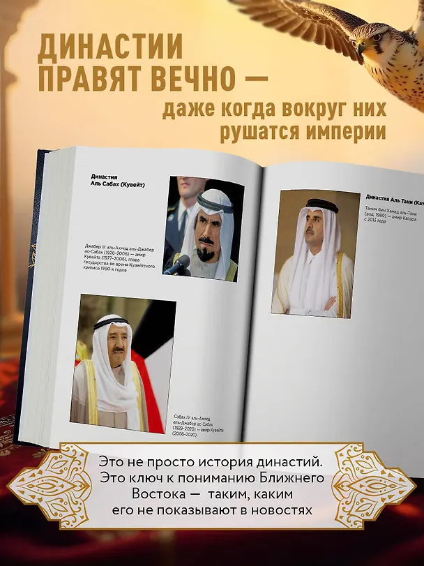 Книга Династии. Как устроена власть в современных арабских монархиях (Мария Кича) — 8