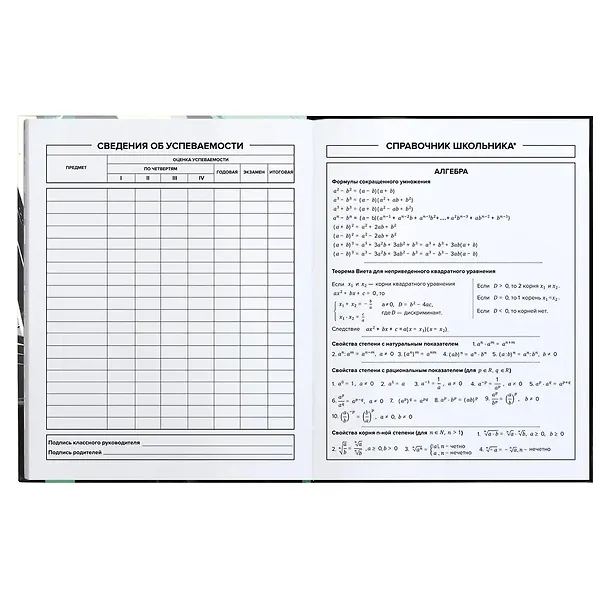 Дневник школьный «Городской стиль», Феникс+ 3031811 — 3