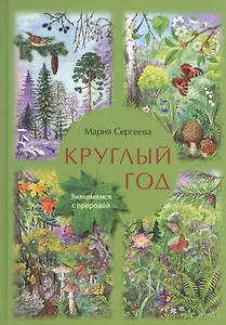 Круглый год