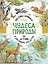 Чудеса природы. 50 историй в картинках для детей — 2920035 — 1