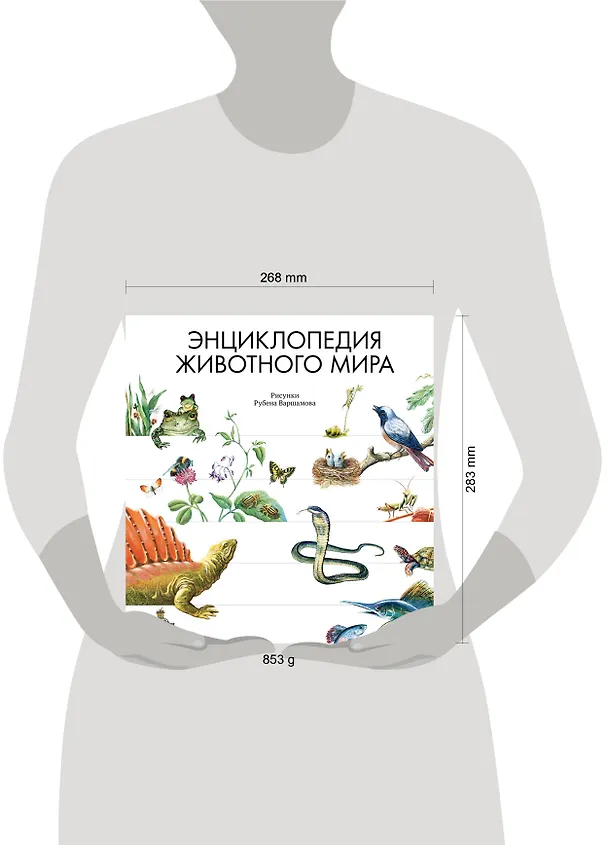 Книга Энциклопедия животного мира (Николай Сладков, Ирина Яковлева) — 5