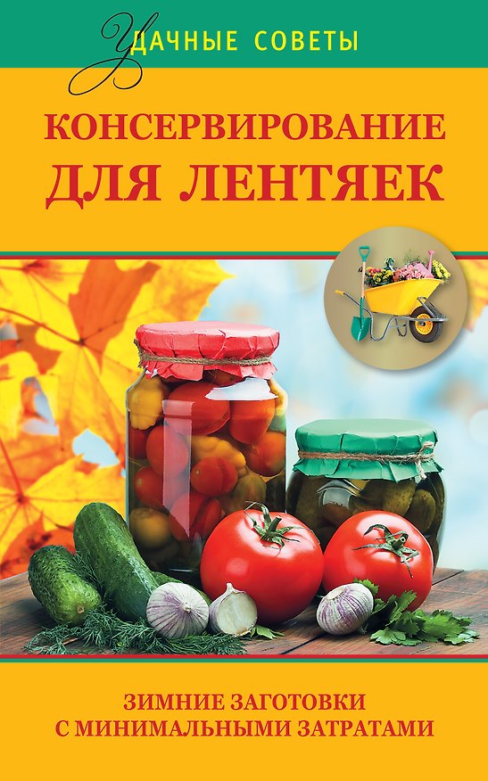 Книга Удач.сов.Консервир.д/лентяек.Зим.загот.с мин.затра (Алина Калинина) — 1