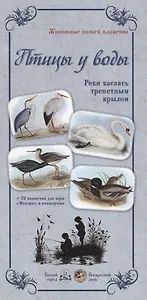 Птицы у воды. Реки касаясь трепетным крылом