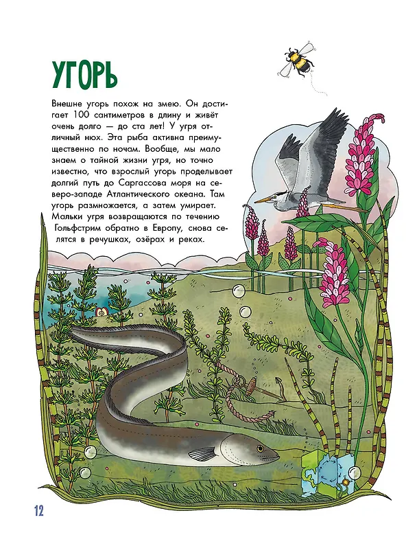 Книга Рыбы (Эмма Янссон) — 7