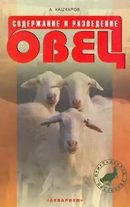 Содержание и разведение овец.