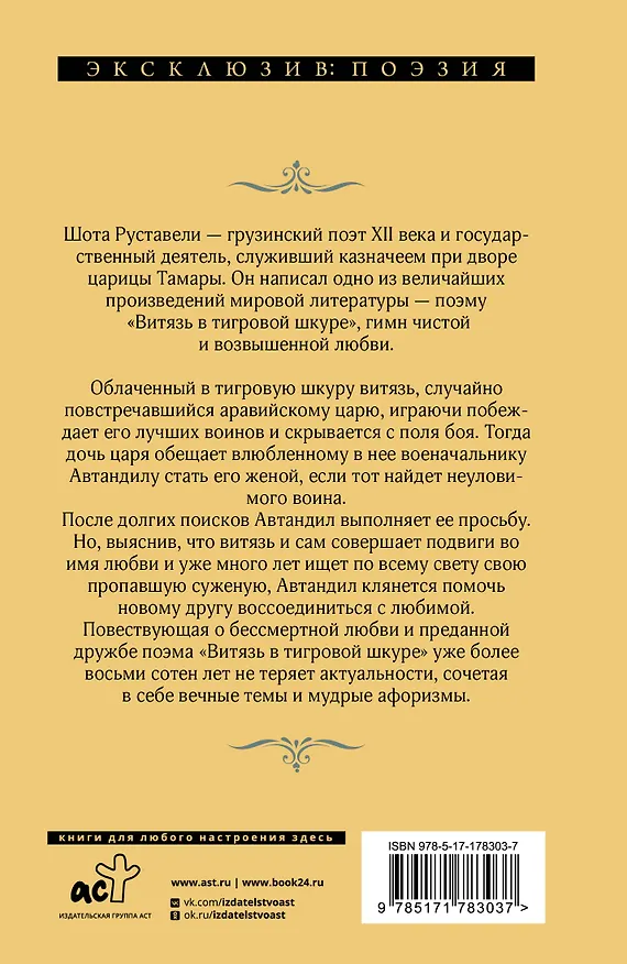 Книга Витязь в тигровой шкуре (Шота Руставели) — 2