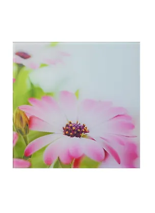 Картина стекло Розовый цветок (AG 20-06) (20х20) 2435664