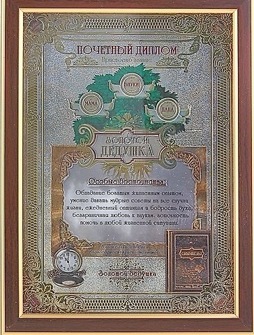 Диплом пластиковый в рамке Золотой дедушка (479724) (24х32,5) (Сима-ленд) 2345620 — 1