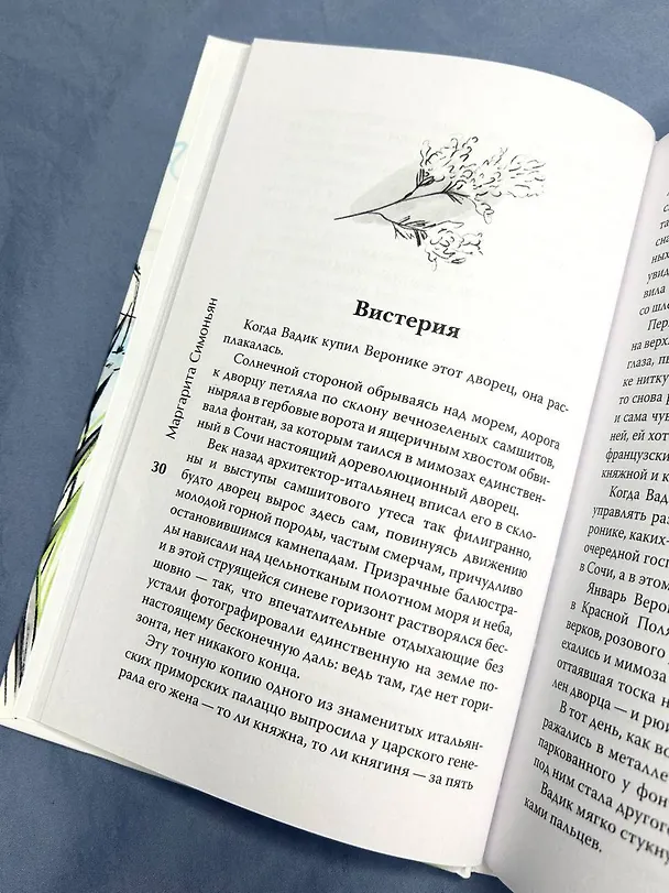 Книга Водоворот. Сборник рассказов (Маргарита Симоньян) — 11