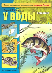 У воды и под водой