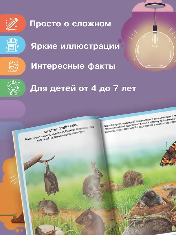 Книга Животные (Эмили Бомон) — 6
