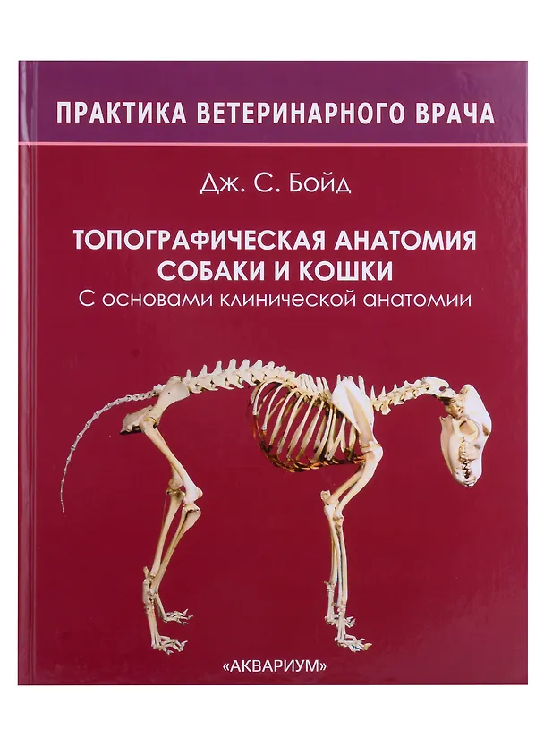 Книга Топографическая анатомия собаки и кошки. С основами клинической анатомии (Дж.С. Бойд) — 1