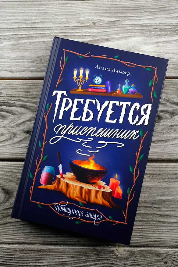 Книга Требуется приспешник (Лилия Альшер) — 6