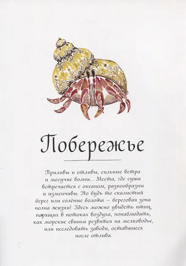 Книга Жизнь в океане (Хелен Апорнсири) — 5