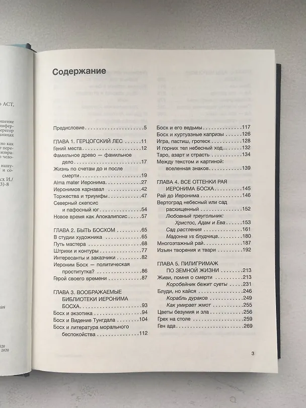 Книга Код средневековья. Иероним Босх (Валерия Косякова) — 7