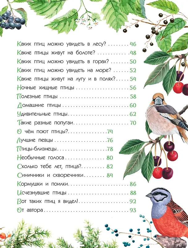 Книга Птицы (Мария Рахчеева) — 14