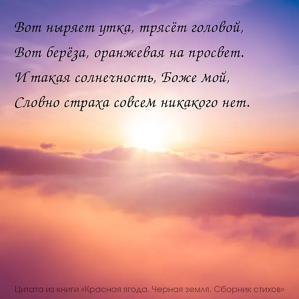Книга Красная ягода. Черная земля. Сборник стихов (Анна Долгарева) — 7