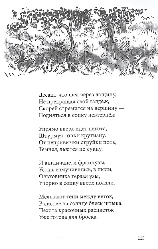 Книга Петропавловский бой 1854 (Александр Карев) — 5