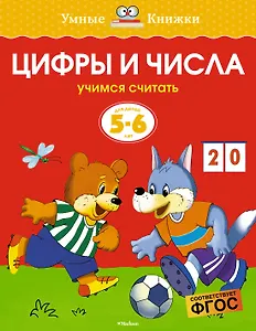Цифры и числа (5-6 лет)