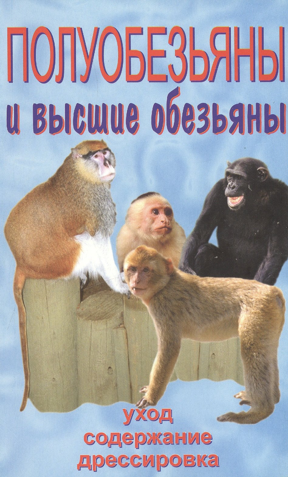 

Полуобезьяны и высшие обезьяны.Уход.Содержание .Дрессировка