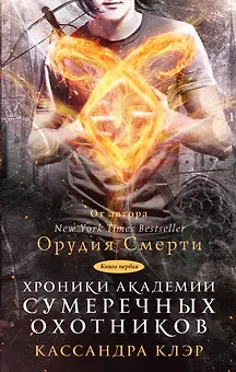 Хроники Академии Сумеречных охотников. Книга 1