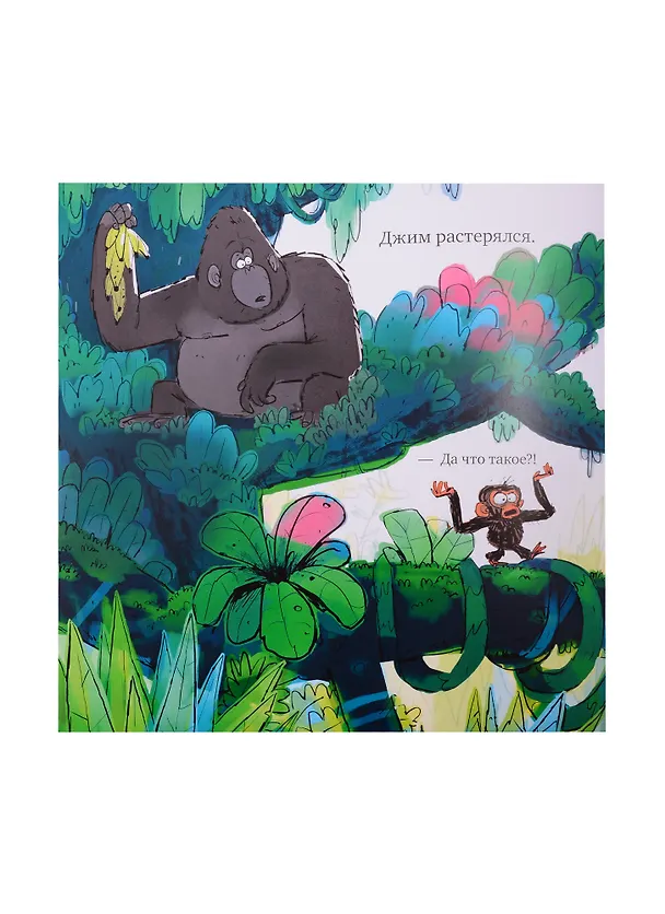 Книга Обезьянка-ворчун () — 4