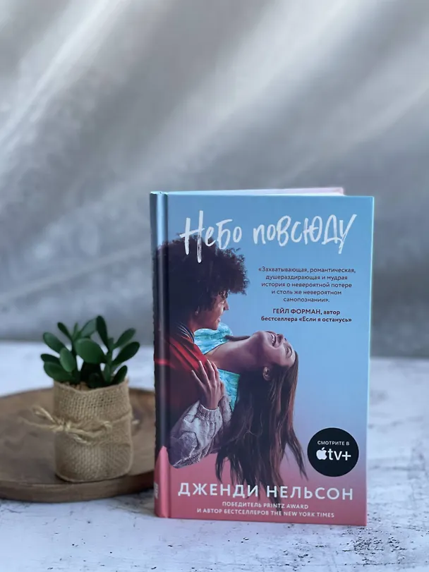 Книга Небо повсюду (Дженди Нельсон) — 7