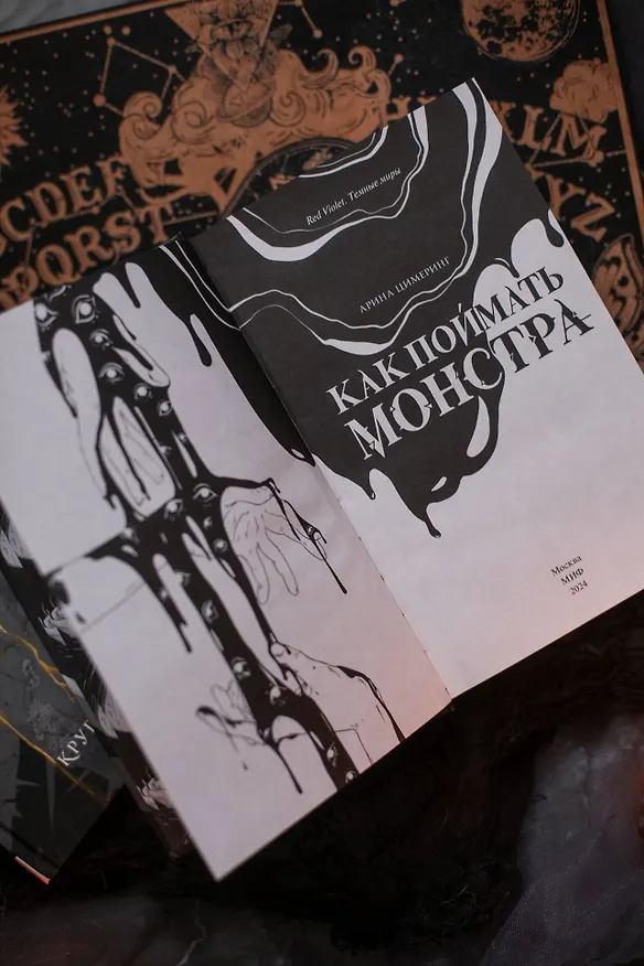 Книга Как поймать монстра. Круг первый (Арина Цимеринг) — 13