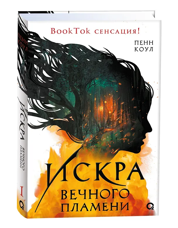 Книга Искра вечного пламени (Пенн Коул) — 11