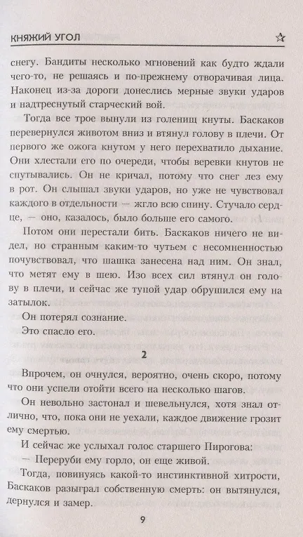 Книга Княжий Угол (Николай Чуковский) — 4