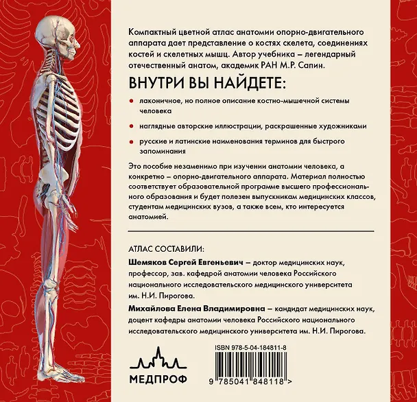 Книга Анатомия человека. Компактный атлас. Опорно-двигательный аппарат (Михаил Сапин) — 2