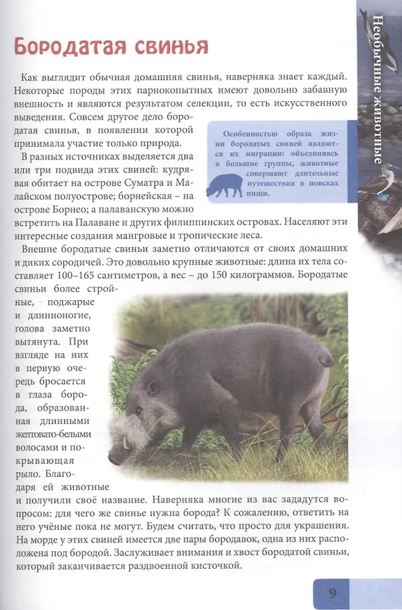 Книга Необычные животные. Энциклопедия (Людмила Соколова) — 6