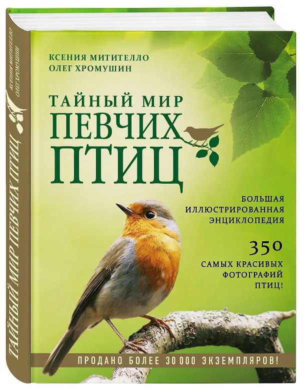 Книга Тайный мир певчих птиц. Большая иллюстрированная энциклопедия (Ксения Митителло, Олег Хромушин) — 4
