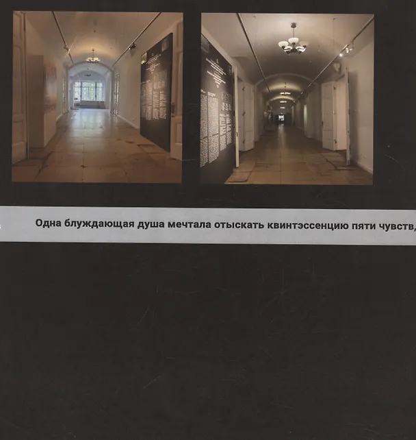 Книга Квинтэссенция пяти чувств (Александр Механик) — 3