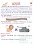 Герои: люди и города. Рассказы для детей — 3079006 — 3