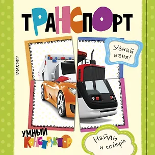 Книга Транспорт (Светлана Станкевич)