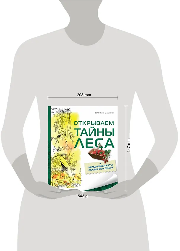 Книга Открываем тайны леса (Валентина Мальцева) — 5