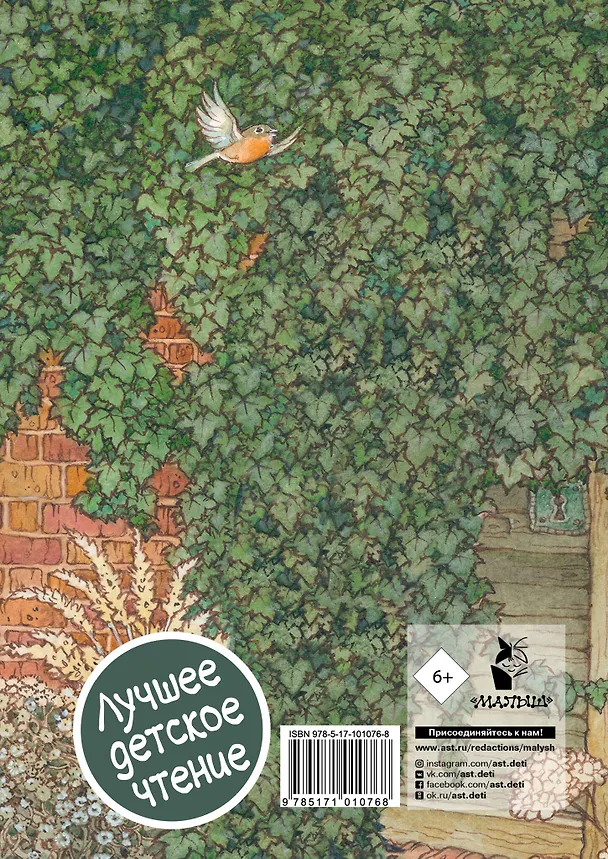 Книга Таинственный сад (Фрэнсис Элиза Ходжсон Бёрнетт) — 2