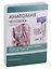 Анатомия человека. Спинномозговые нервы. Органы чувств (47 карточек) — 2652584 — 2