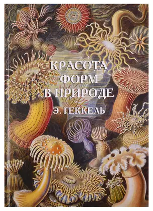 Красота форм в природе. Э. Геккель — 2728109 — 1